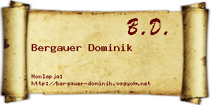 Bergauer Dominik névjegykártya